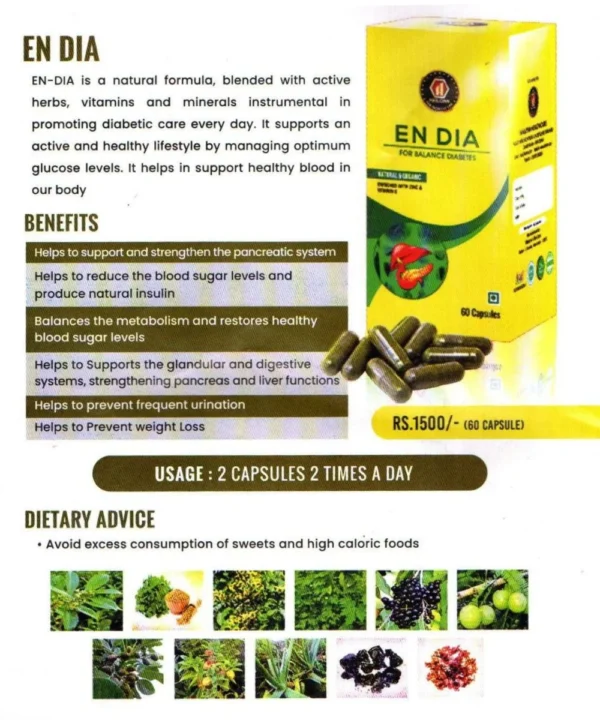 HailONN EN Dia - Healthy Capsules (60 Capsules)