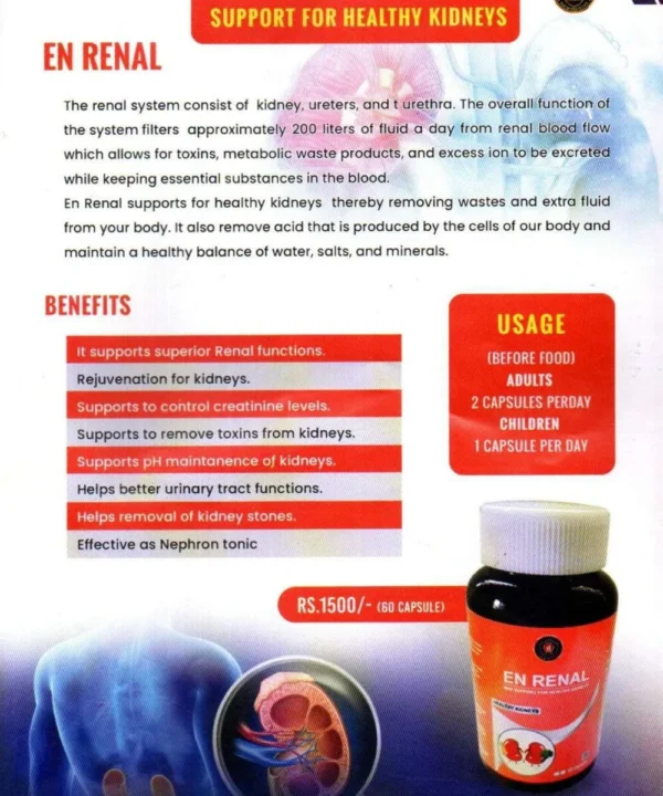 HailONN EN Renal - Healthy Capsules for Kidneys (60 Capsules)